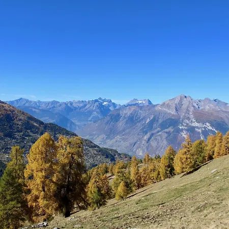 Amazing With Terrace *