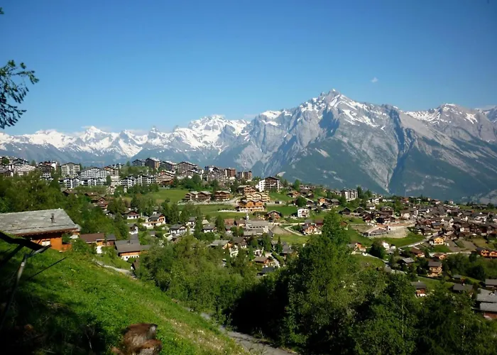 Amazing With Terrace *