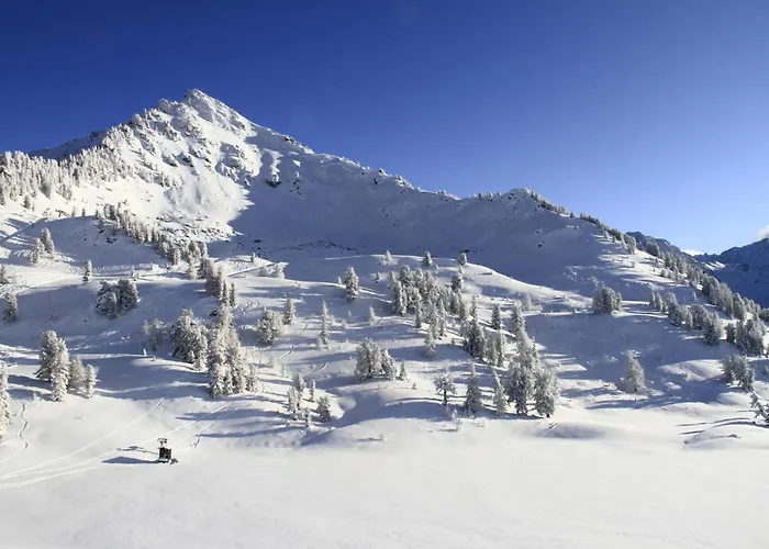 Amazing With Terrace ナンダ