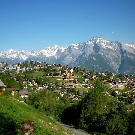 Amazing With Terrace *