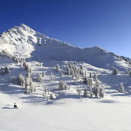 Amazing With Terrace Nendaz