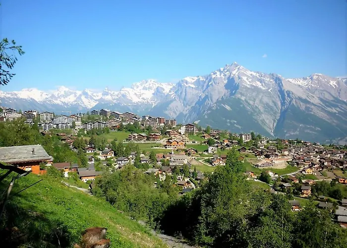 Apartment Amazing With Terrace Nendaz